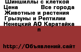 Шиншиллы с клеткой › Цена ­ 8 000 - Все города Животные и растения » Грызуны и Рептилии   . Ненецкий АО,Каратайка п.